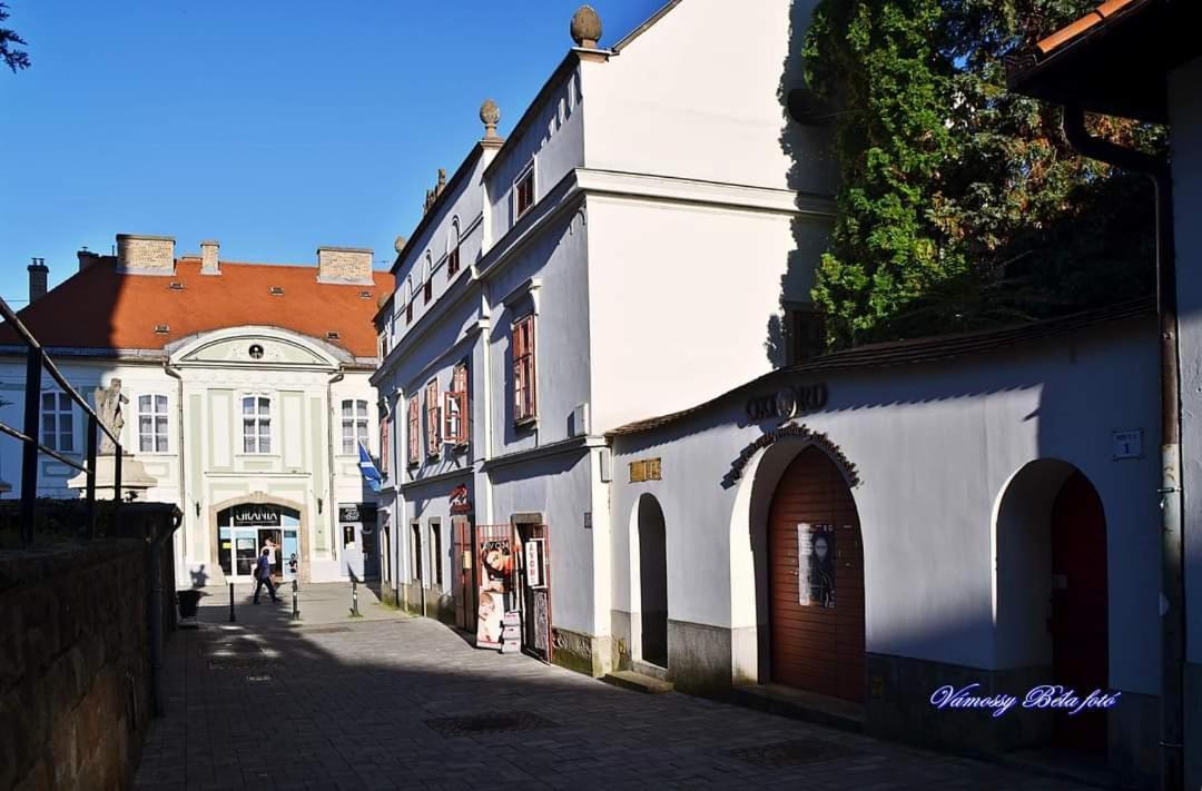 Ferienwohnung Carlone House Erlau Exterior foto